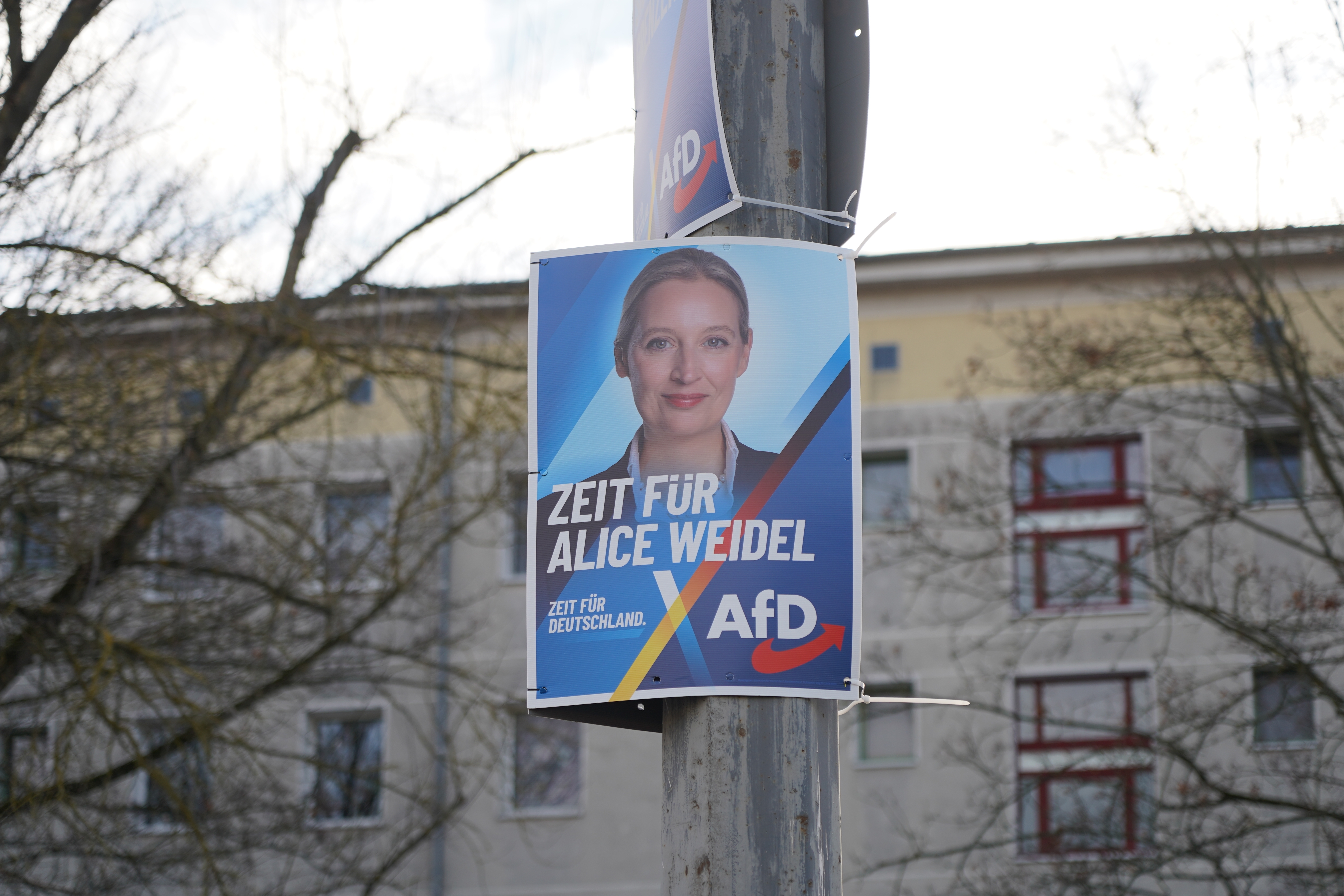 Immigration, Economics & Social Media: Fueling AfD's Rise in Germany
